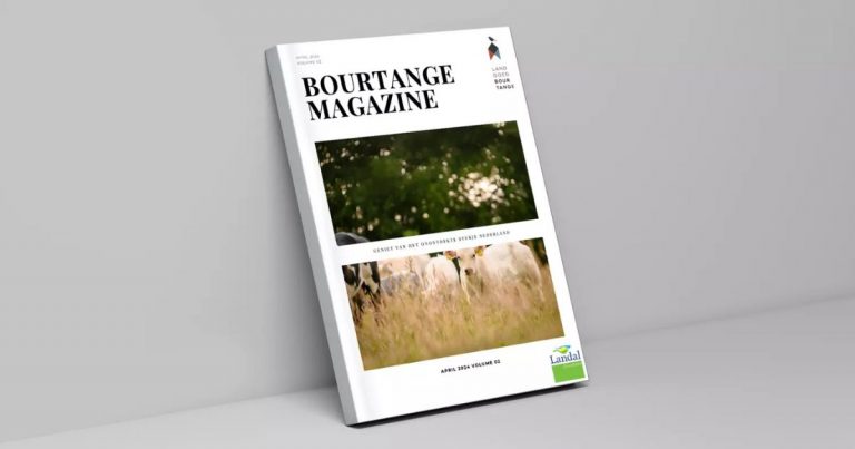 Bourtange Magazine